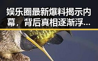 娱乐圈最新爆料揭示内幕,背后真相逐渐浮出水面